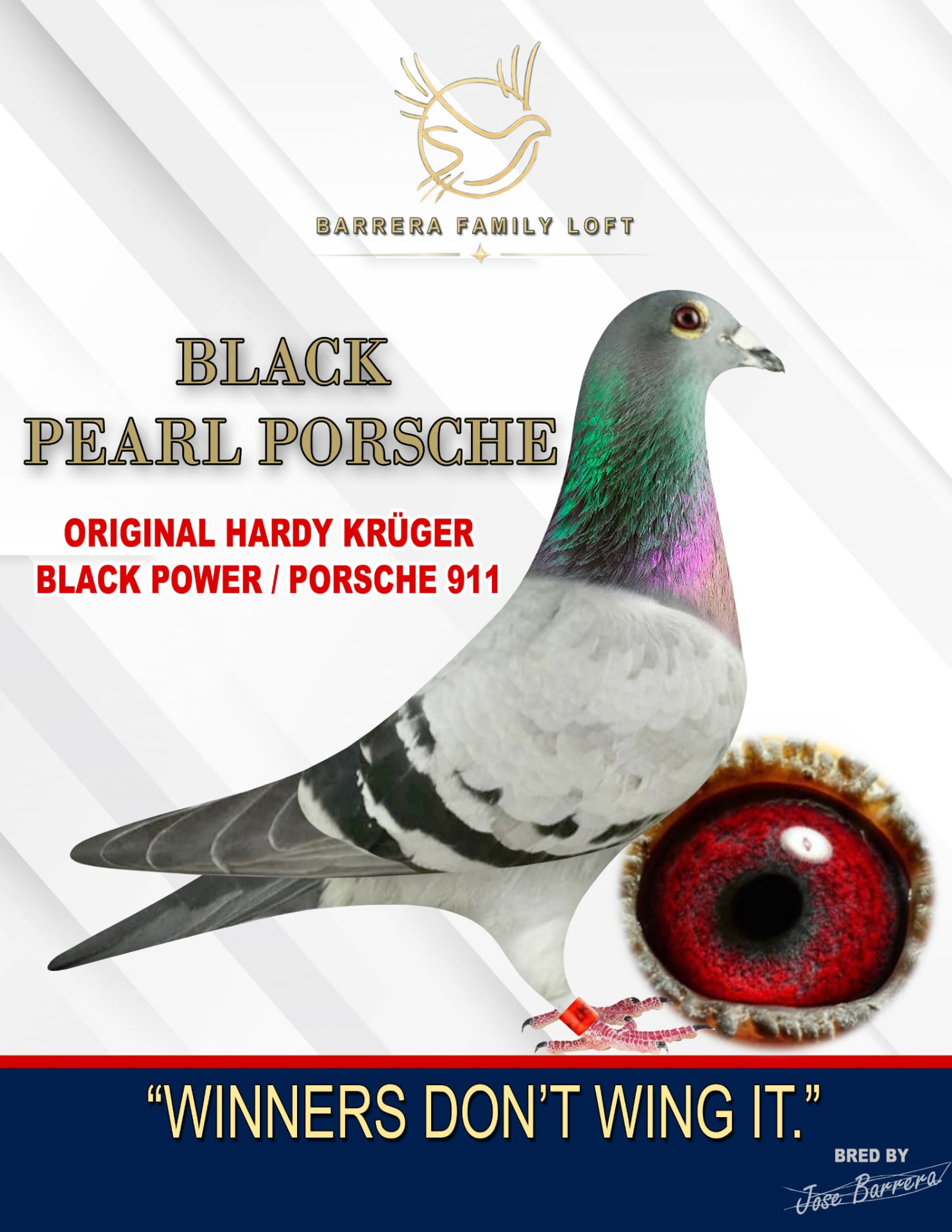 Black Pearl Porsche