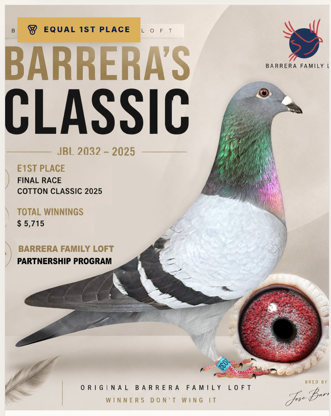 Barrera's Classic, Barrera Family Loft champion racing pigeon
