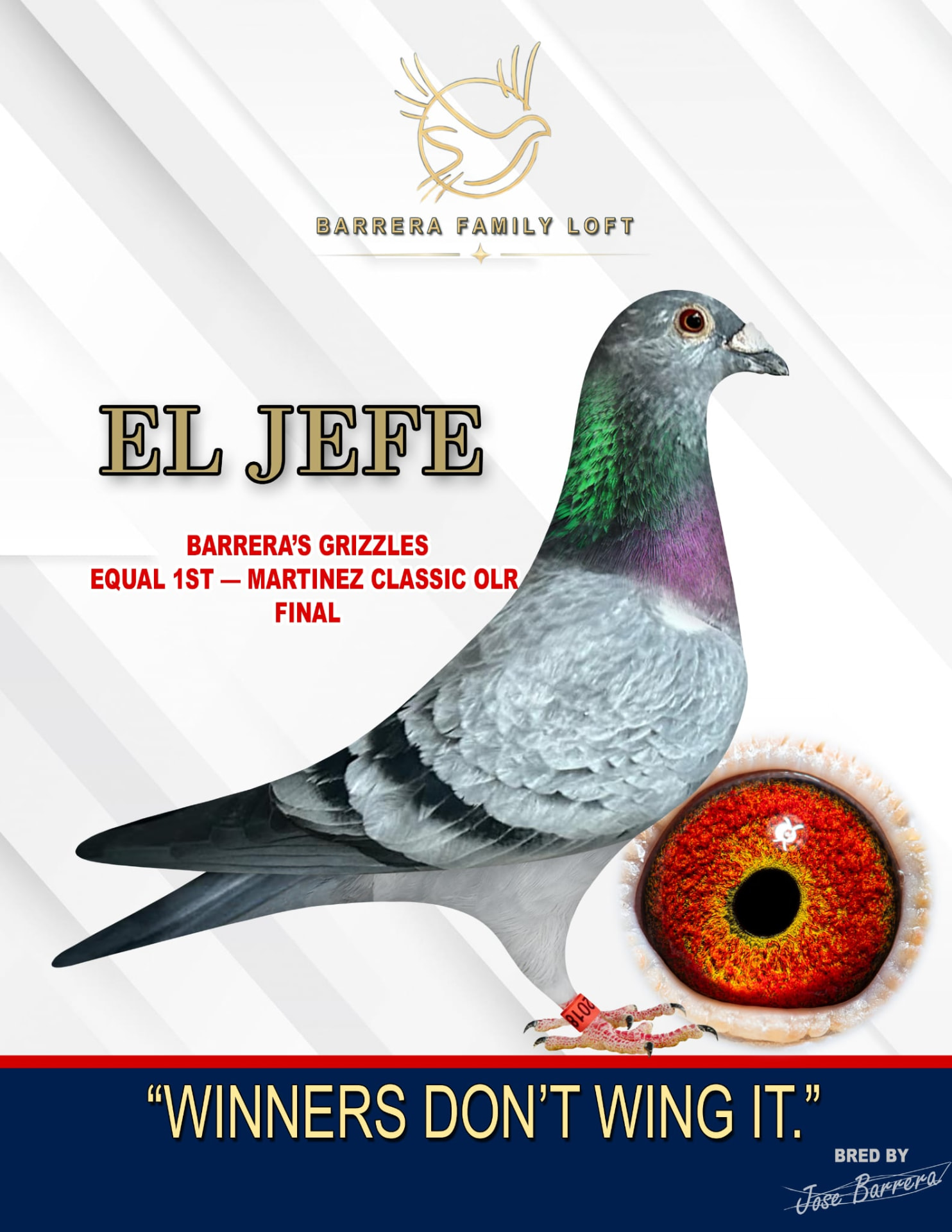 El Jefe / Barrera's Grizzles