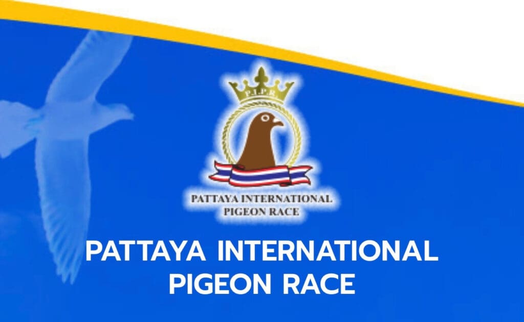 Pattaya International Pigeon Race logo and text.