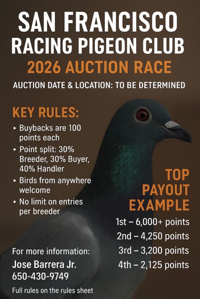 San Francisco Racing Pigeon Club 2026 Auction.