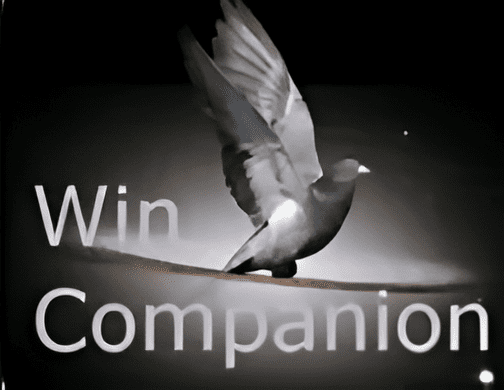 Pigeon flying with "Win Companion" text.