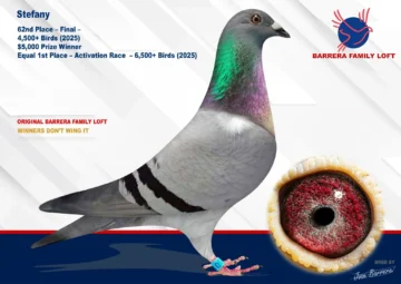 Racing pigeon, eye close-up, Barrera logo
