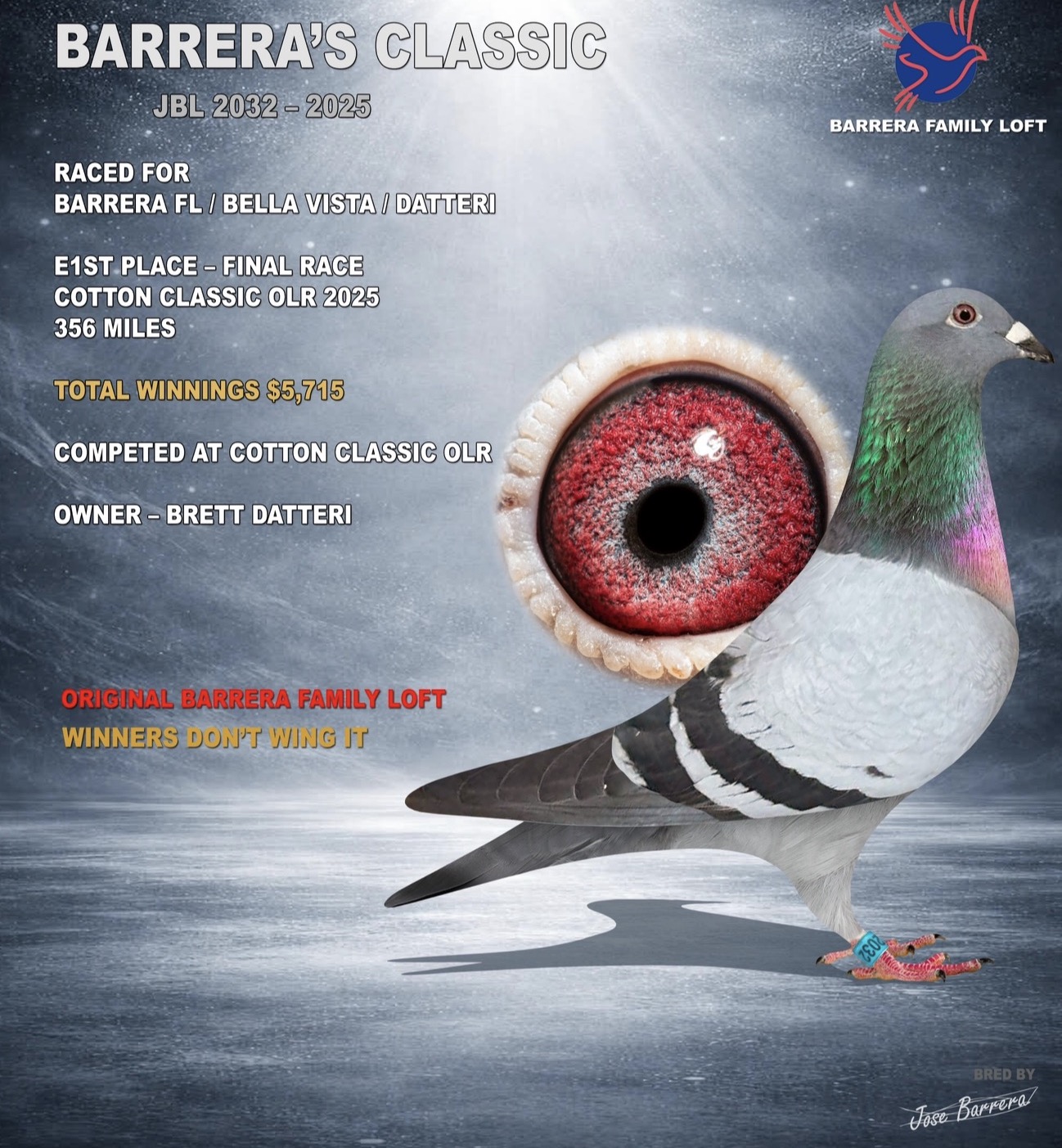 A racing pigeon with detailed eye and lineage information.