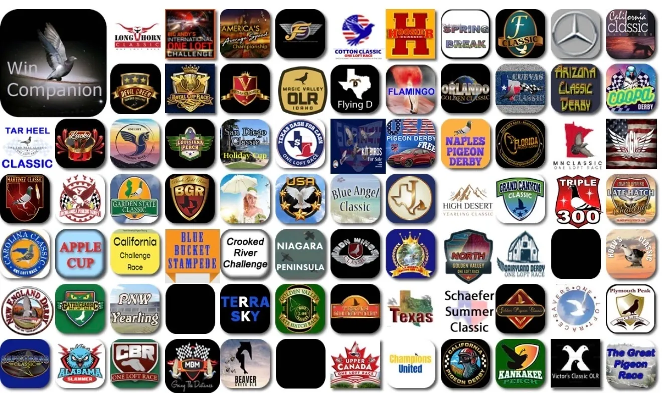 Collage of colorful pigeon racing event logos