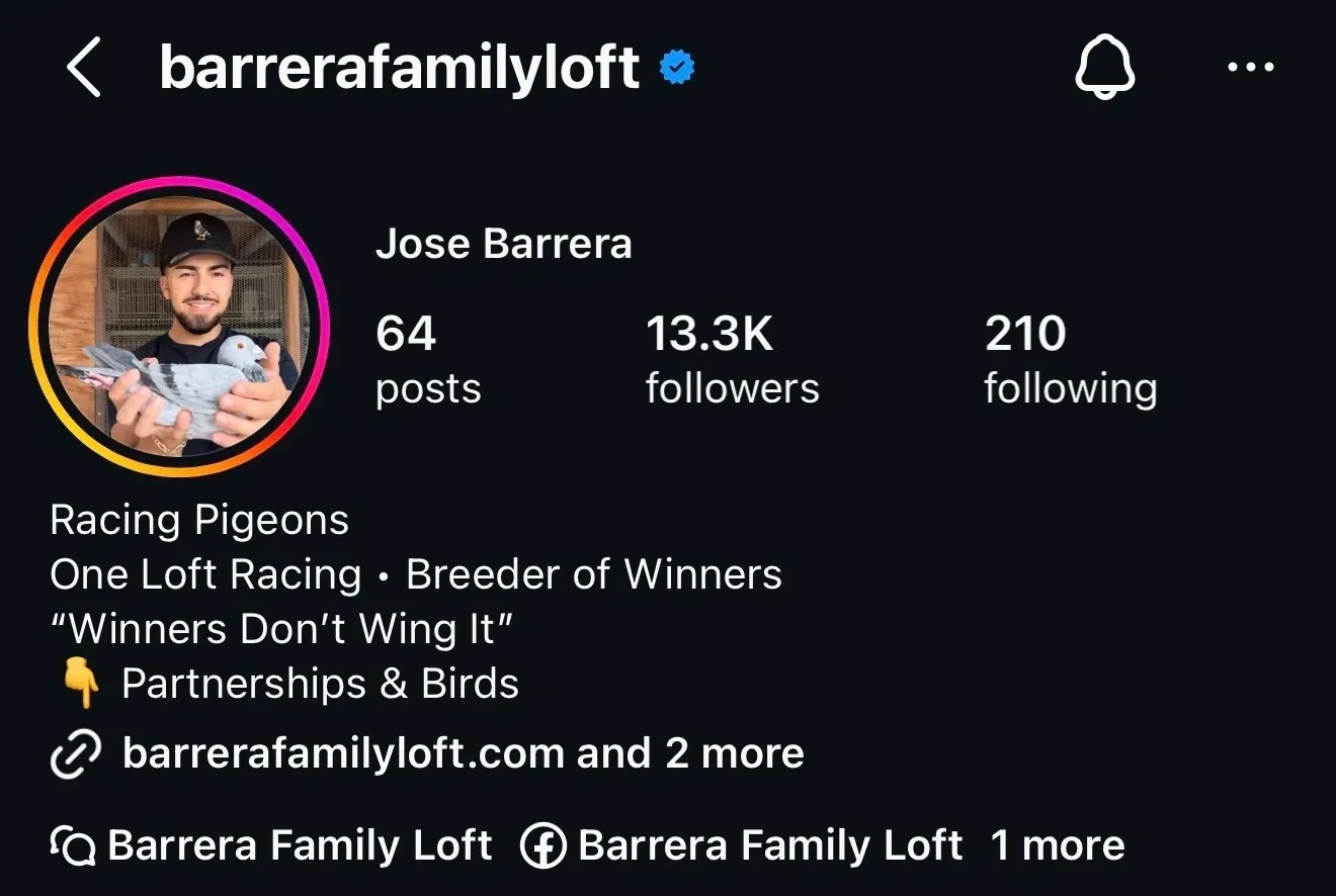 Instagram profile screenshot for pigeon racing loft