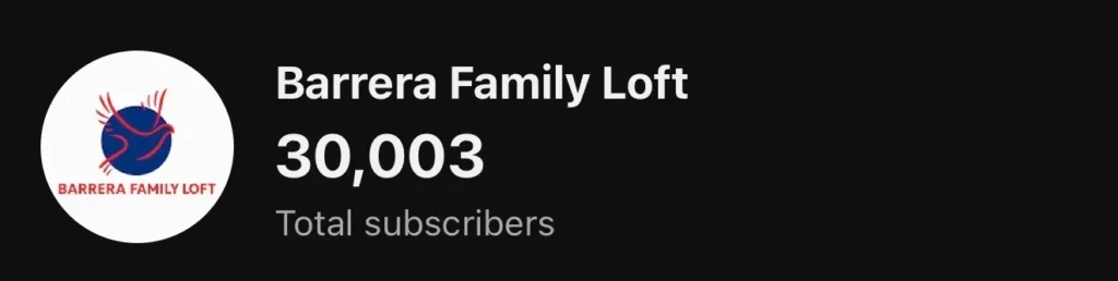 Barrera Family Loft channel with 30,003 subscribers