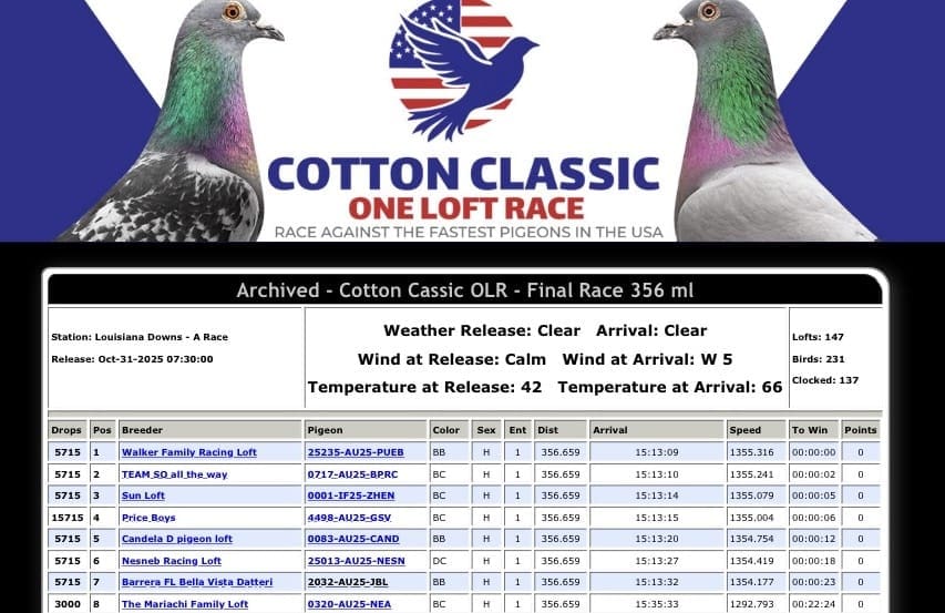 Poster for Cotton Classic One Loft Race with pigeons and race details.