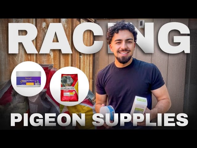 Smiling man holding racing pigeon supplies